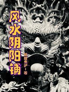阴阳风水铺完结