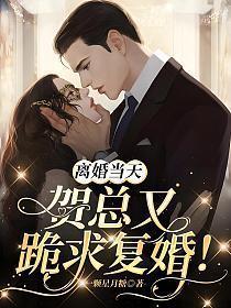 贺总今天复婚成功了吗免费阅读
