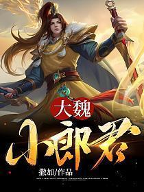 大魏小郎君几个老婆