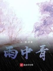 雨中青石板路