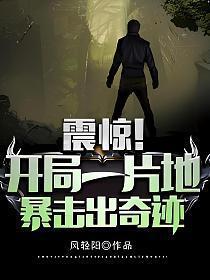 暴击出奇迹全文TXT