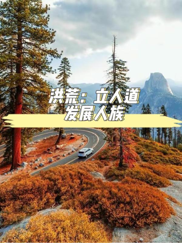 洪荒人道立大道认可