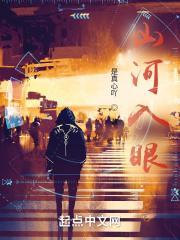 山河入眼皆成画