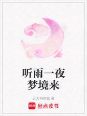 听了一夜的雨声的诗句