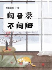 向日葵太阳