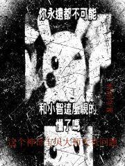 宝可梦传说z