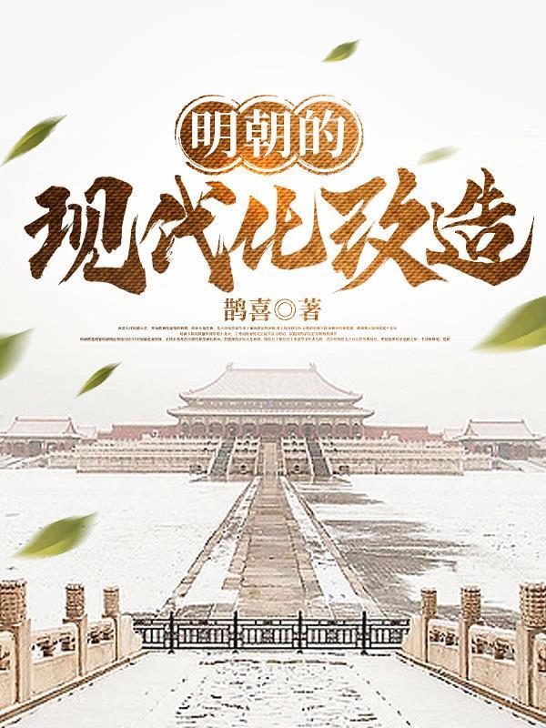 明朝的现代化改造同类