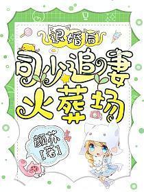 退婚后司少追妻火葬场颜苏
