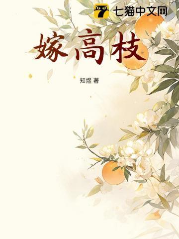 嫁高枝沈穂宜