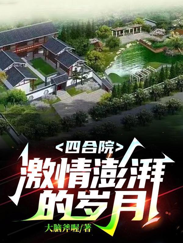 四合院激情澎湃的岁月全文阅读