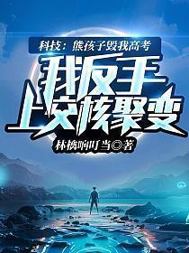 我反手上交核聚变