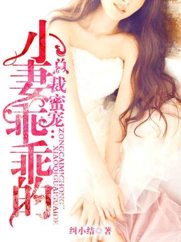 总裁小妻宠上天