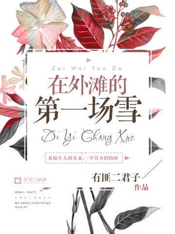 外滩人工降雪几点