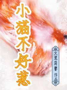 小猫不好惹全文免费阅读