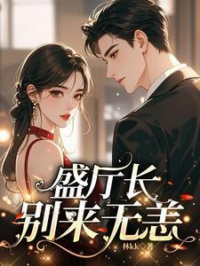 盛厅长别来无恙全文阅读