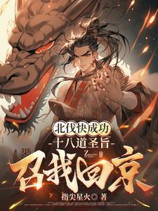 十八道圣旨召我回京 指尖星火