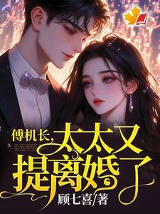 傅机长诺筱颖