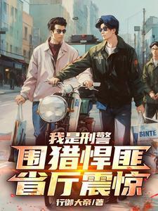 我是刑警原著
