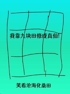 我靠九块田修成真仙