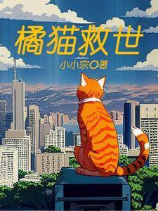橘猫第30集