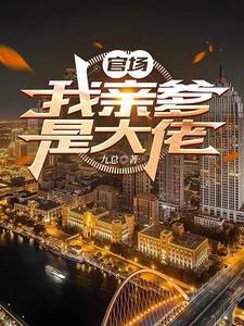 官场我亲爹是大佬九总