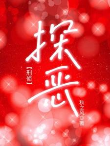 最新探案