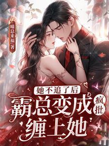 霸总变成疯批缠上她TXT百度盘