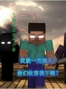 我就一方块人!你们收容我干嘛?最新章节