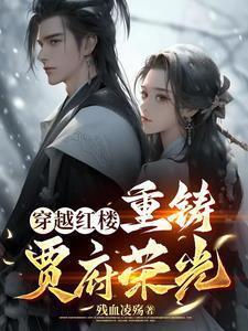 穿越红楼之贾政简介