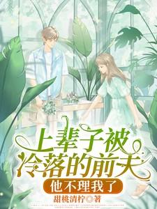 主角岳寂桐莫西楼全集阅读