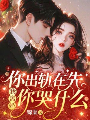 我离婚你哭什么全文