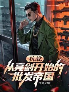 抗战从亮剑开始的批发帝国 最新章