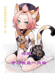 海贼之我是