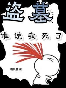 盗墓者说