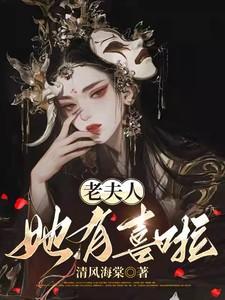 夫人有了二手车 (打一字)