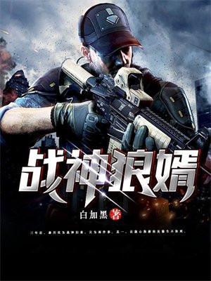 战神狼婿叶新多少章恢复真气