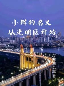 小辉的名义从光明区开始TXT