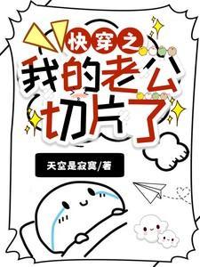 我的老公切片了txt
