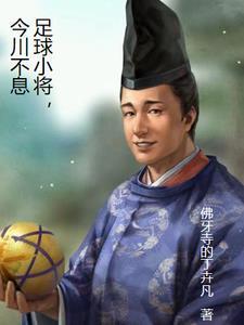 足球小将今川不息