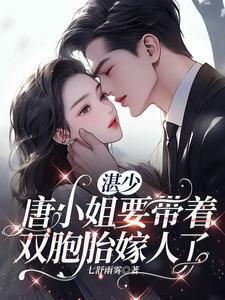 湛少唐小姐要带着双胞胎嫁人了 哪章湛南琛知道三胞胎