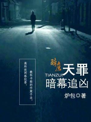 天罪视频