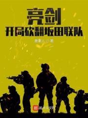 亮剑打坂田连队是哪一集