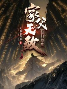 家父无敌你们随意境界