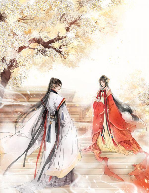 裴慕念苏晚晚免费阅读txt