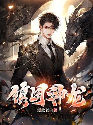 镇国神龙免费全集