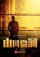 山风为岚的句子