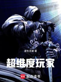超维度玩家完本