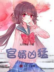 官婿凶猛全文免费阅读