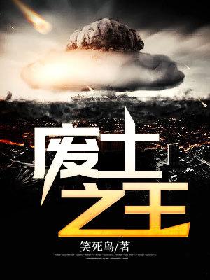 废土之王中文设置