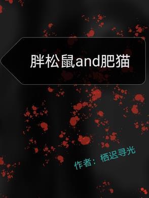 胖松鼠and肥猫讲的什么